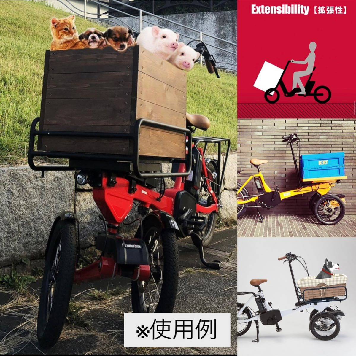 Xe đạp 3 bánh Toyoda Trike